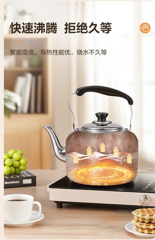 苏泊尔5L鸣音烧水壶 304不锈钢材质，燃气电磁炉通用，家庭烧水好帮手